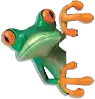 kbm frog